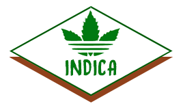 indica.ge logo