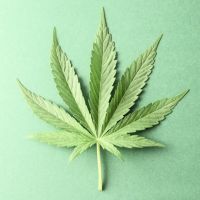 «Синтетическая марихуана» — опасное и неправильное слово